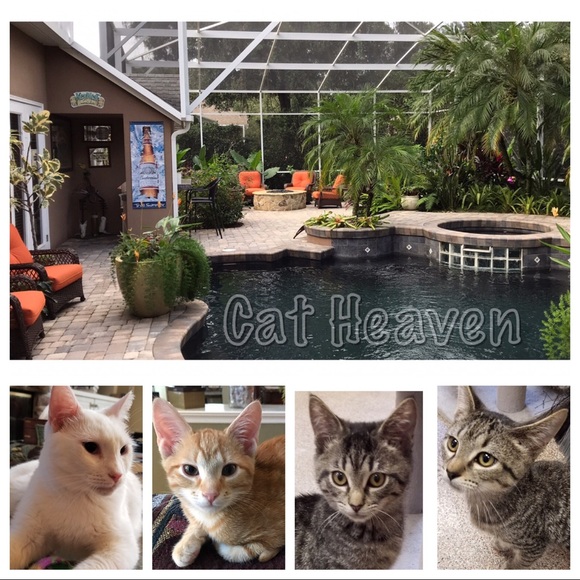 About Connie - Picture 6 of 6